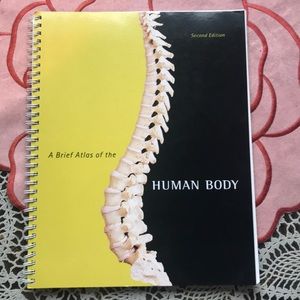 The Brief Atlas of the Human Body